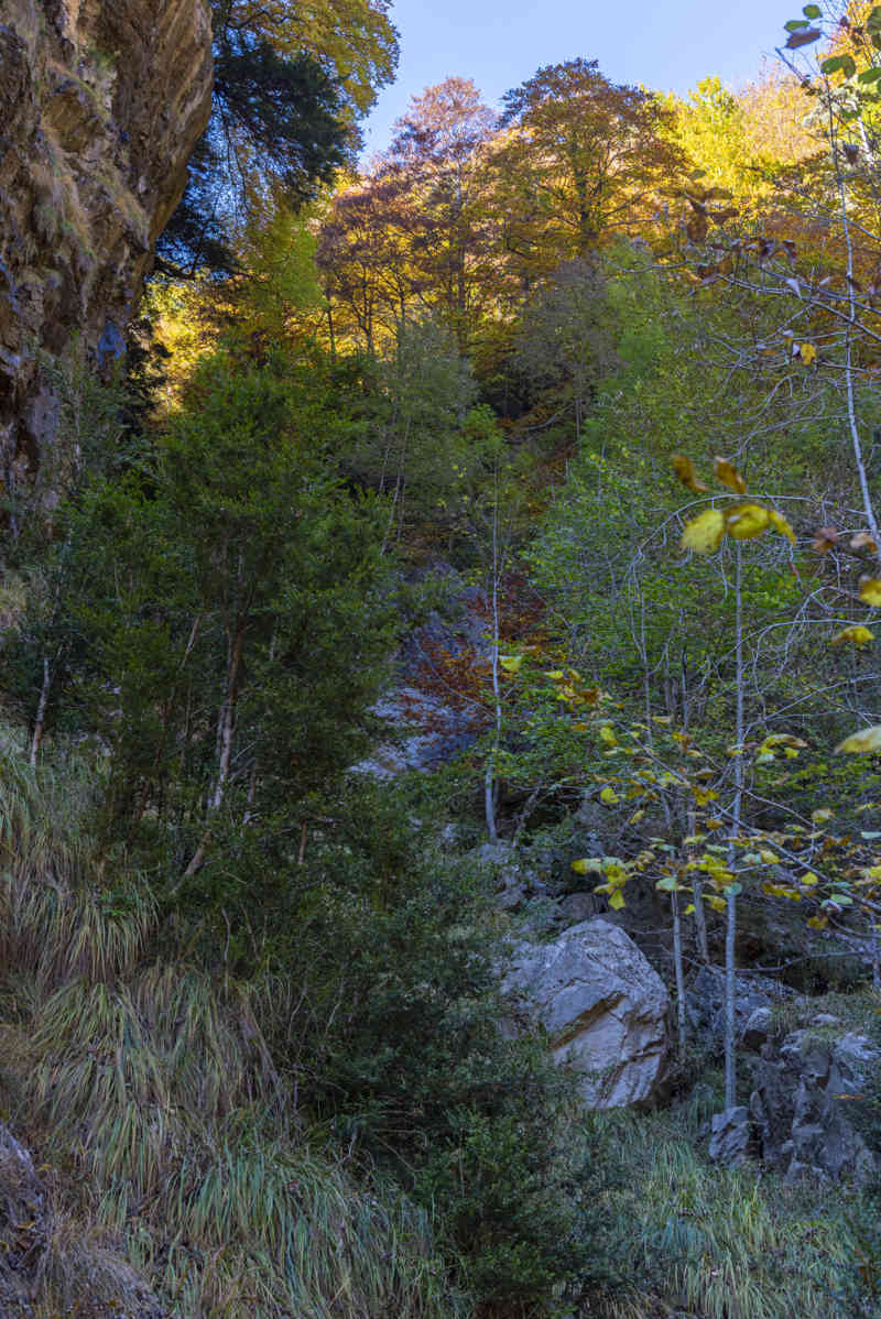 Huesca - parque nacional de Ordesa y Monte Perdido - valle de Añisclo 93 - cañon de Añisclo.jpg